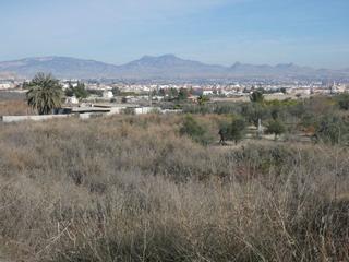 Rural plot in Alguazas. Terreno no urbano en ceuti zona ceutí, 8200 m. superficie parcel