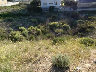 Terrain résidentiel à Altorreal - El Chorrico. Terreno urbano en molina de segura zona urbanizacion  el chorric