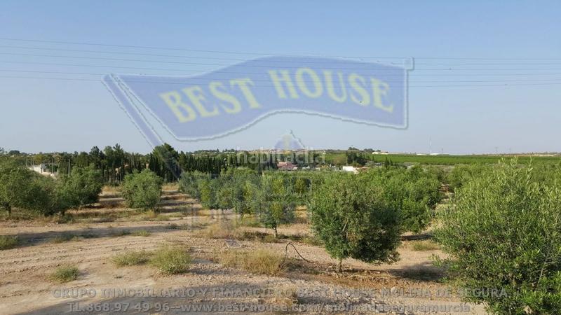 Foto 8a27c4de-3091-4135-a0bf-624fd255a638. Propriété dans Torres de Cotillas (Las)