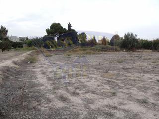 Finca rústica a El Llano. Terreno no urbano en alguazas zona el paraje de alquazas, 1118 m