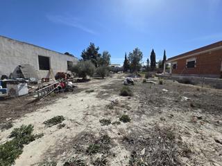 Finca rústica a El Pino. Terreno no urbano en molina de segura zona urbanizacion el pino,