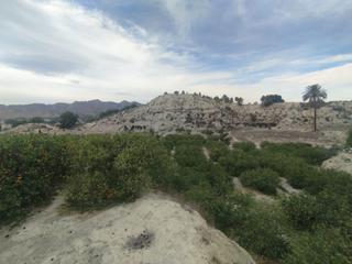 Finca rústica a Ulea. Descubra una oportunidad única en el corazón del valle de ricote