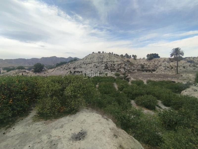 Finca rústica a Ulea. Descubra una oportunidad única en el corazón del valle de ricote