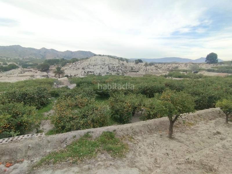 Foto 49a22015-1a55-4805-a3a9-258d8d1888a3. Finca rústica a Ulea