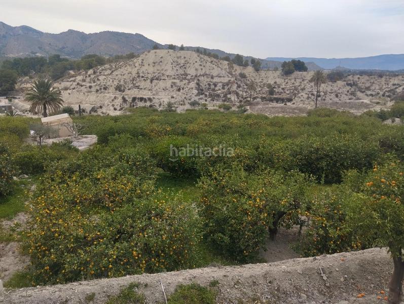 Foto 6c2e9543-ad5a-4b60-9fa1-59bd5dfa57a2. Finca rústica a Ulea