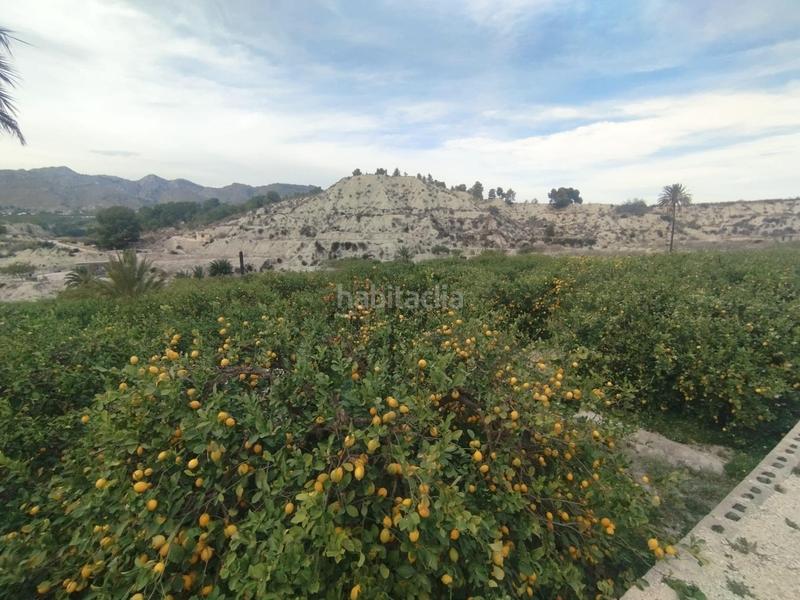 Foto 746e4198-a878-46a0-8588-d7977e906c80. Finca rústica a Ulea