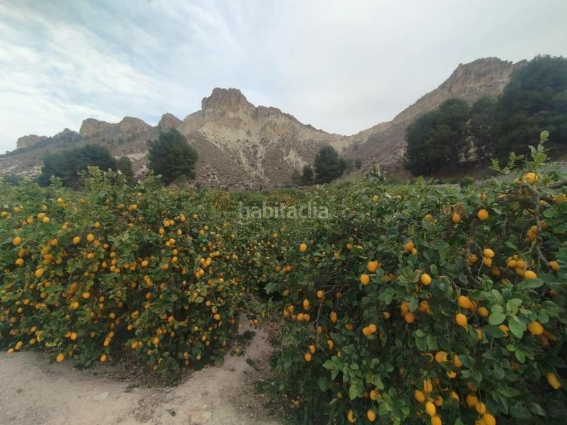 Foto bfda3c97-5915-46b1-b223-735d337a8844. Finca rústica a Ulea