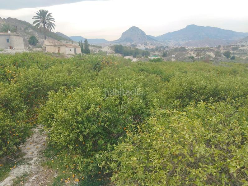 Foto c1d694a1-a698-471e-8413-08c38710b779. Finca rústica a Ulea