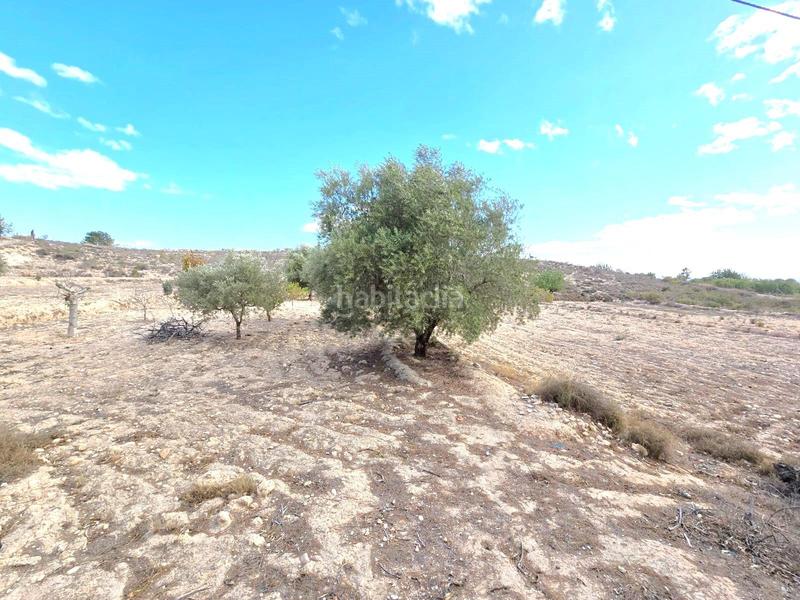 Foto 08b22bf0-cab7-451b-96c6-49ae984fda27. Chalet con riscaldamento parcheggio piscina in El Fenazar - Campotéjar Molina de Segura