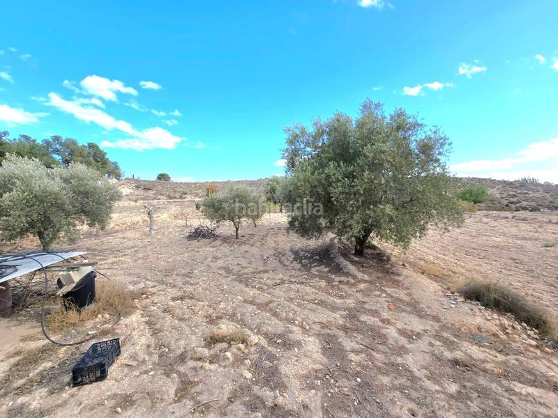 Foto f73ca51e-a368-4f6f-8596-29e0b4d6586b. Chalet con riscaldamento parcheggio piscina in El Fenazar - Campotéjar Molina de Segura