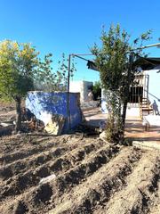 Xalet a Alguazas. Dos terrenos con casa de aperos de 20 m en alguazas
