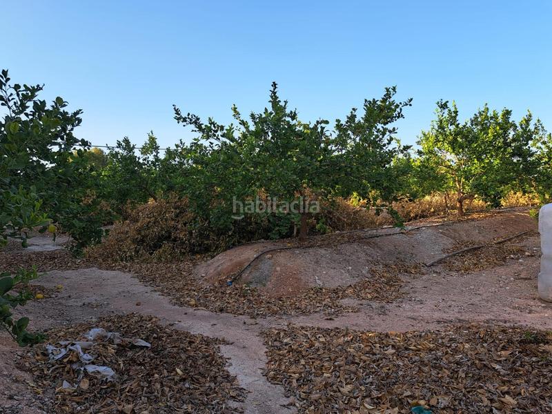 Foto 43e05a87-5ee6-44cd-9eb7-7a7e0e4a5ee3. Xalet amb calefacció aparcament piscina a El Fenazar - Campotéjar Molina de Segura