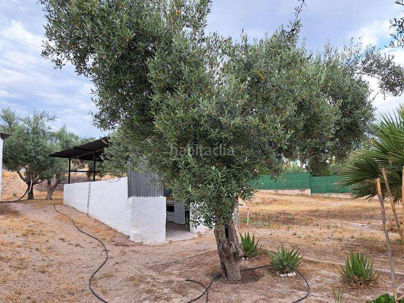 Foto 06f3e3ee-5704-46c9-98b7-62a5f87a4dc0. Chalet mit heizung parking pool in El Pino Molina de Segura