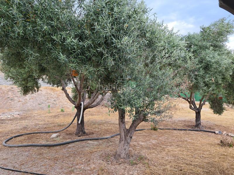 Foto 60082768-b9cb-46eb-bf27-5b4372b2de7b. Chalet mit heizung parking pool in El Pino Molina de Segura