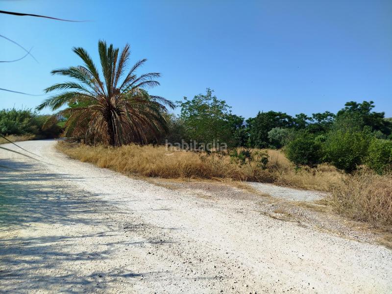 Foto 9b02cca4-b933-40b6-a602-0c2b748946d6. Rural plot in Rincón de Seca Murcia