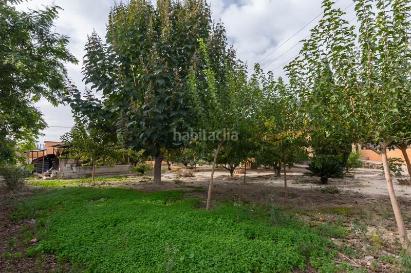 Foto 6c68c0b9-6ee7-4a6a-8e32-bb79ce63f1ff. Chalet con riscaldamento parcheggio piscina in Centro Molina de Segura