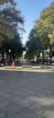 Office space  Rambla nova