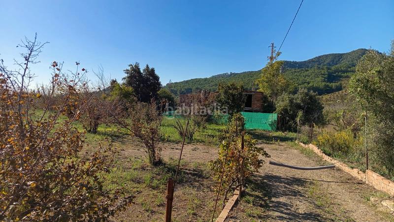 Foto 1b2876f0-c276-4db9-ae85-bc05e5418a39. Fondo rustico in Riudecols