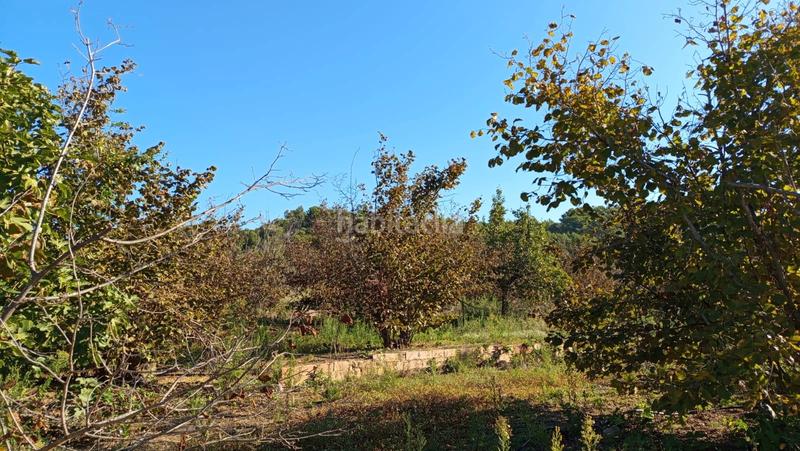 Foto 5ce86eba-a102-4bd9-bd97-0d11fb44d9c4. Fondo rustico in Riudecols