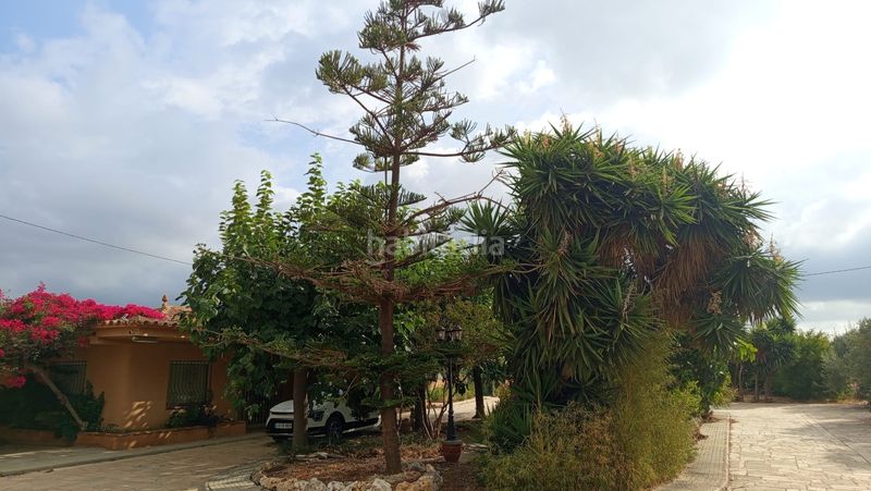 Foto af1282e4-f312-452c-9bed-270d15da74d8. Finca rústica a partida poblas 14 a Platja de Mont-roig Mont-roig del Camp