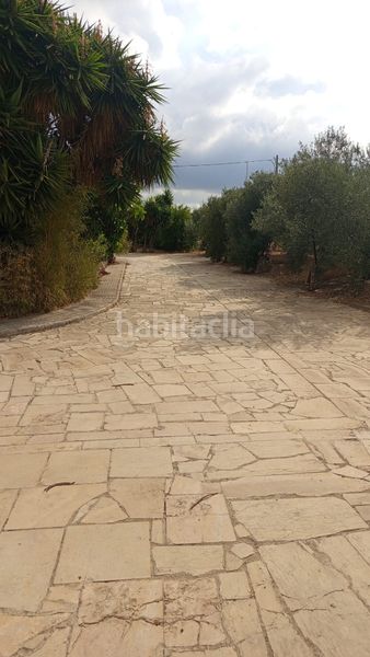Foto e06cb2e4-40ac-474c-9dcc-bbe7d3150be3. Finca rústica a partida poblas 14 a Platja de Mont-roig Mont-roig del Camp