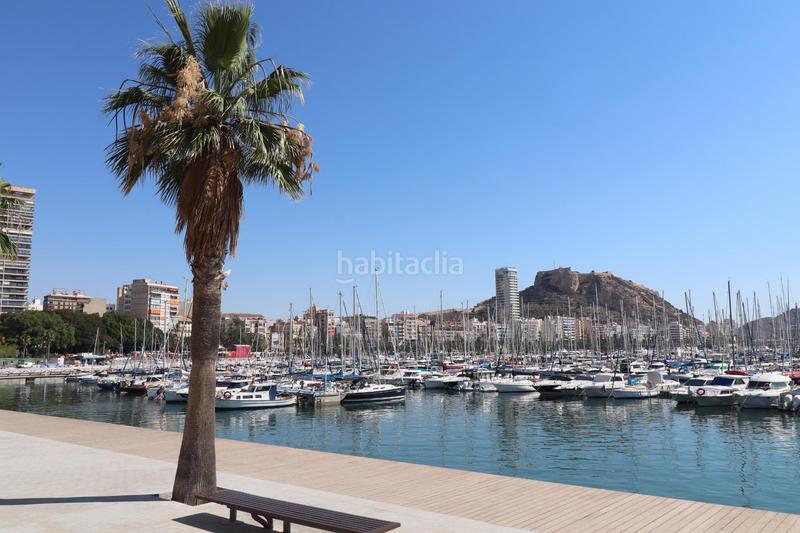 Foto 460b414a-1780-4a85-bb35-89b39a1cb983. Appartamento in Ensanche-Diputación Alicante