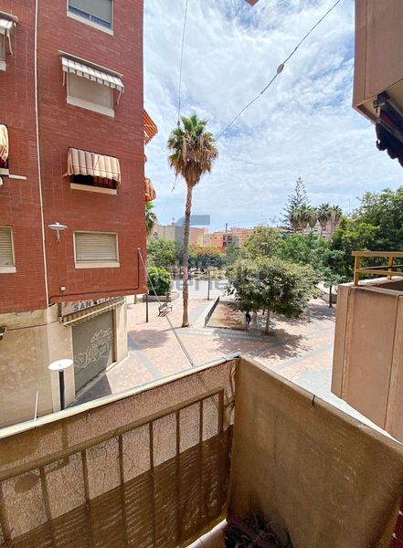 Foto f87665bd-07ce-4287-b62b-5ad3453bb23f. Pis a Florida Alta Alicante