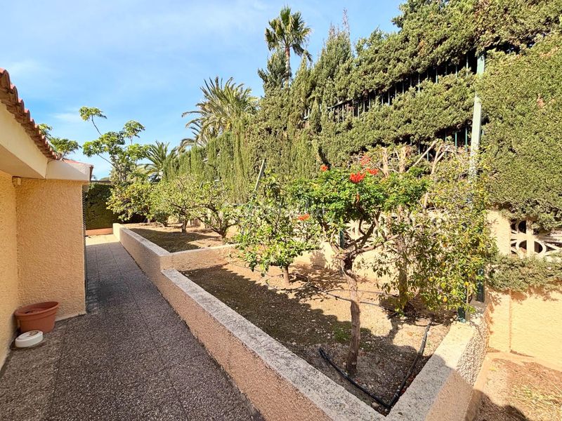Foto b1c0b389-7518-465b-a283-30105c98ed97. Chalet in urbanizacion coblanca 36 in Urbanizaciones Benidorm