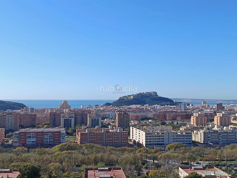 Foto cabb6a77-0a99-40cd-b2fb-a87fdbab4442. Pis a Juan XXIII Alicante