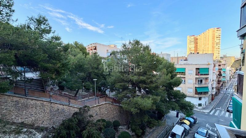 Foto ffdf5195-9444-4975-ae29-9b3131fdd928. Pis a Campoamor Alicante