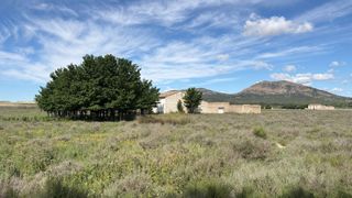 Masía en Partida lagunilla 13. Tierra rustica con casa en partida la lagunilla villena