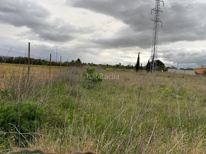 Foto 39aa0155-f4aa-4f89-bd0a-7ae7d4356a45. Finca rústica a Santa María del Camí