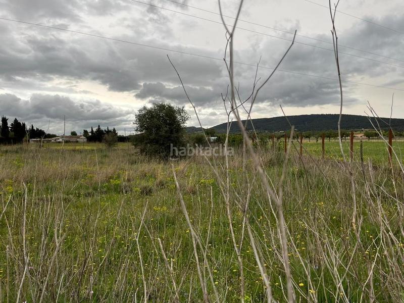 Foto 3d314cdd-100b-4596-82c7-afdd234636eb. Finca rústica a Santa María del Camí