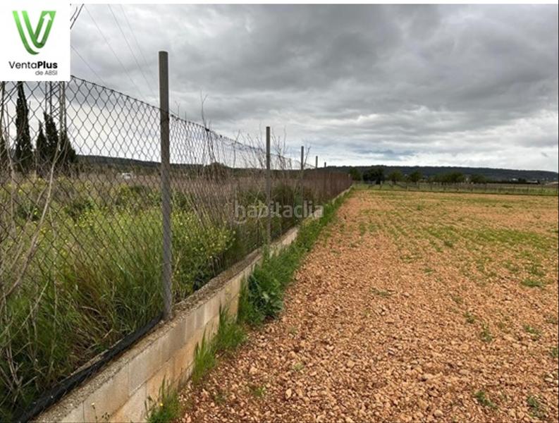 Foto 450fc47f-82d4-45fe-a5ff-1040e3f913d6. Finca rústica a Santa María del Camí