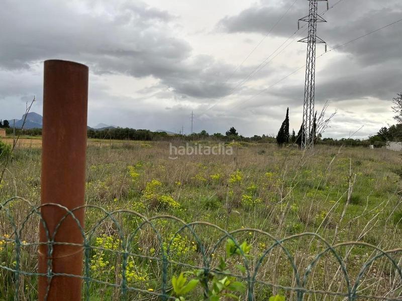 Foto 7dd3382d-631a-4c50-abb2-1d18f1ece3cd. Finca rústica a Santa María del Camí