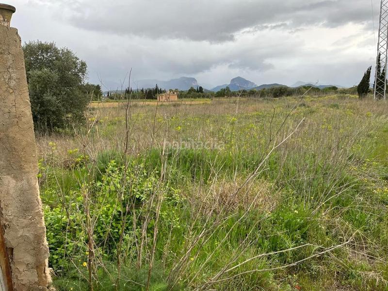 Foto e81dda89-c42d-4e59-aef5-cc146d983ac7. Finca rústica a Santa María del Camí