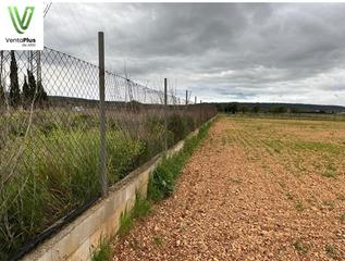 Rural plot in Santa María del Camí