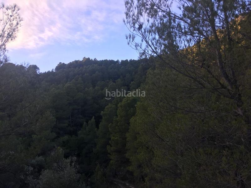 Foto 0b0b2386-8285-4d5a-bb10-883d79e290bf. Casa a Paüls