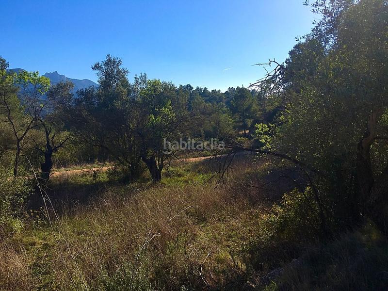 Foto 3a7edf71-c543-40da-8f64-ed036e53ce37. Finca rústica en Benifallet