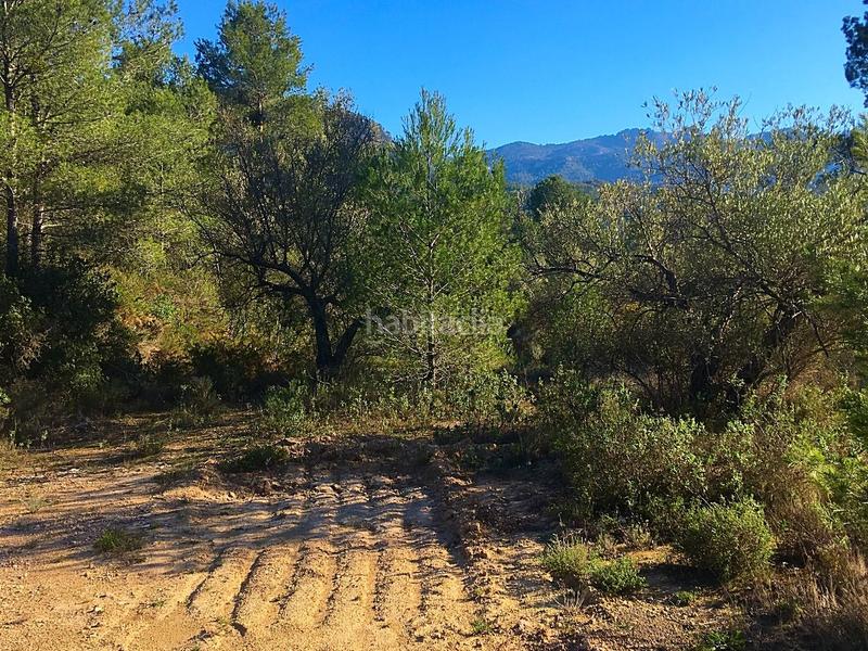 Foto 3fc4d7a6-334a-4a7f-a095-063debdbe209. Finca rústica en Benifallet