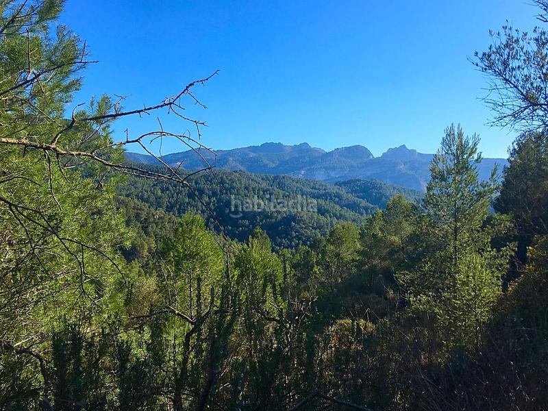 Foto 4769c3fd-ccec-4110-b7ca-bd9d69ea112e. Finca rústica en Benifallet
