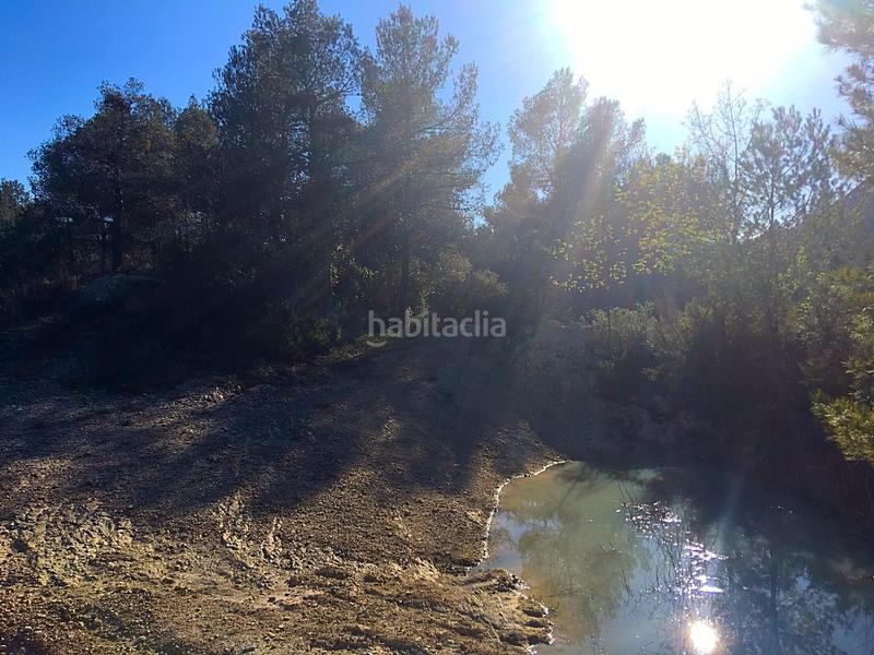 Foto b149e468-63b0-4b0f-a6bd-ac8f9427b67a. Finca rústica en Benifallet