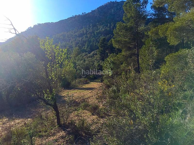 Foto d94e6538-f0ec-49d7-9166-7380643cc63a. Finca rústica en Benifallet