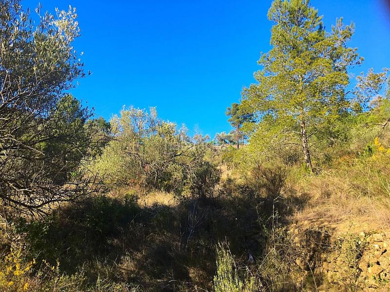 Foto da170650-f66c-4592-ab8a-a0af04a90f40. Finca rústica en Benifallet