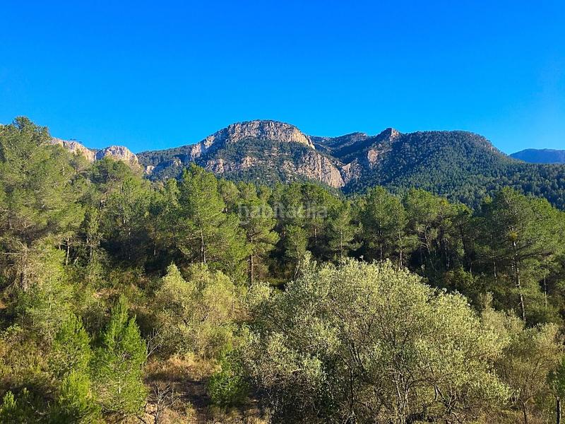 Foto f697602b-17fa-4630-811f-174692ab6c2a. Finca rústica en Benifallet