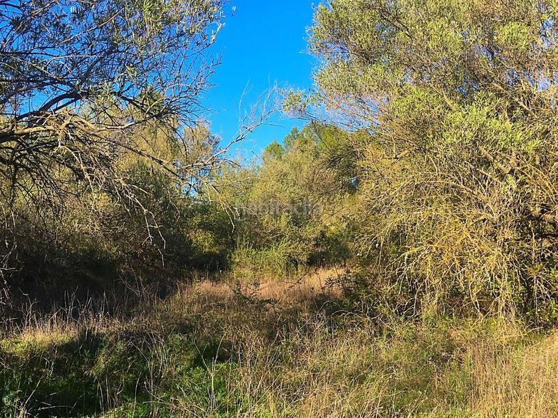 Foto fbe30f49-e9e0-4353-a2e2-8dcee2038825. Finca rústica en Benifallet