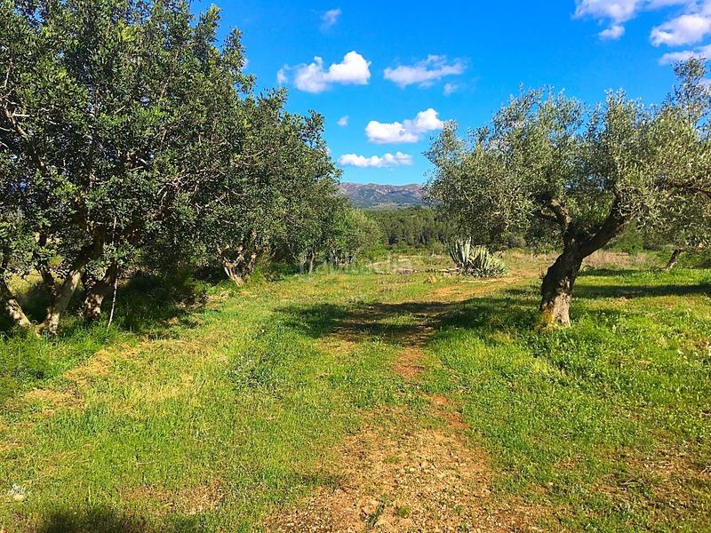 Foto 16936435-6f7f-40aa-9c60-86985ccc0734. Masía en Rasquera