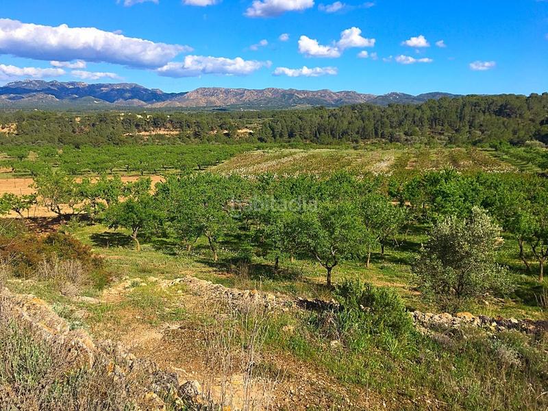 Foto 758f4750-4755-47f4-b9e1-f44d1f69ef24. Masía en Rasquera