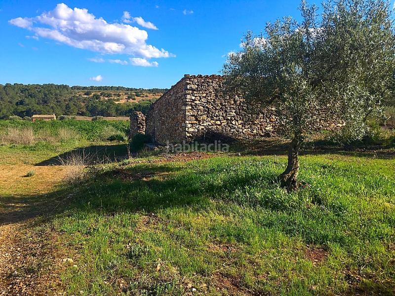 Foto 781606ae-1298-4c75-9cad-f4c7d3da0625. Masía en Rasquera