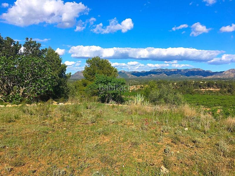 Foto 8ca7da2a-9632-4751-bf91-e698a59266cf. Masía en Rasquera